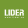 Lider Advertising Group 