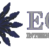 ECS International LLC 