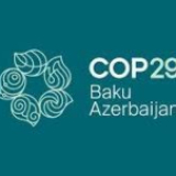 COP29 