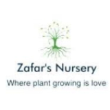 Zafar Nursery 