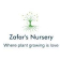 Zafar Nursery 