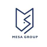 Mesa Group 